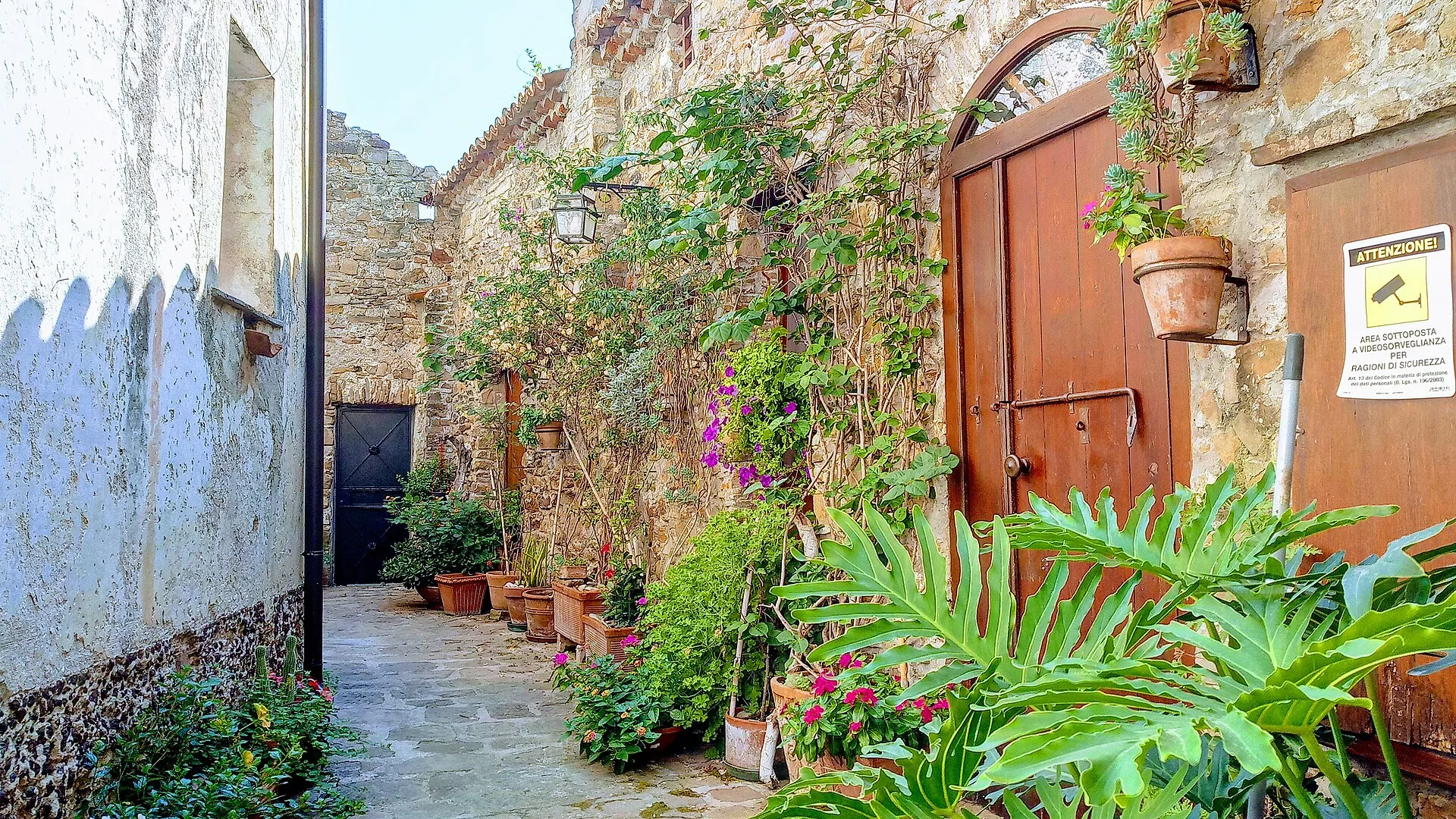 Un vicolo del borgo di Castellabate con piante e fiori sulle porte